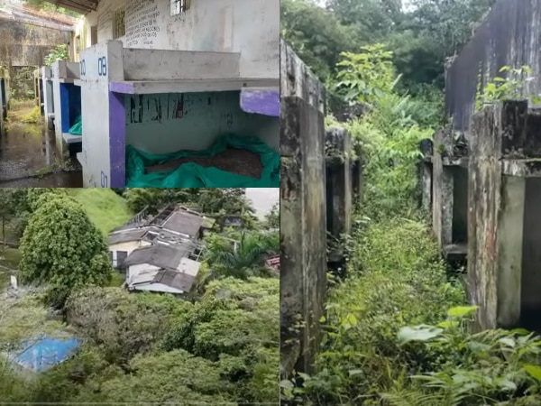 Así permanecen las ruinas de una cárcel en medio del bosque, un vestigio del sistema penitenciario agrícola en Colombia