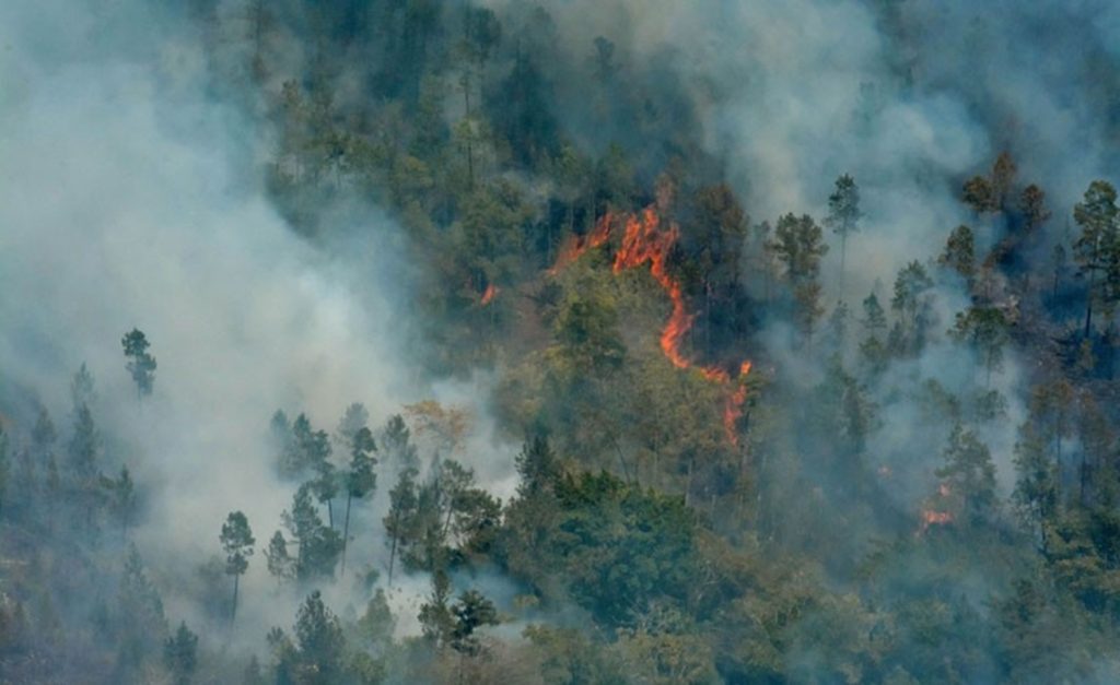 Two years after the forest fire in Pinares de Mayarí: the impact on the atmosphere was very high