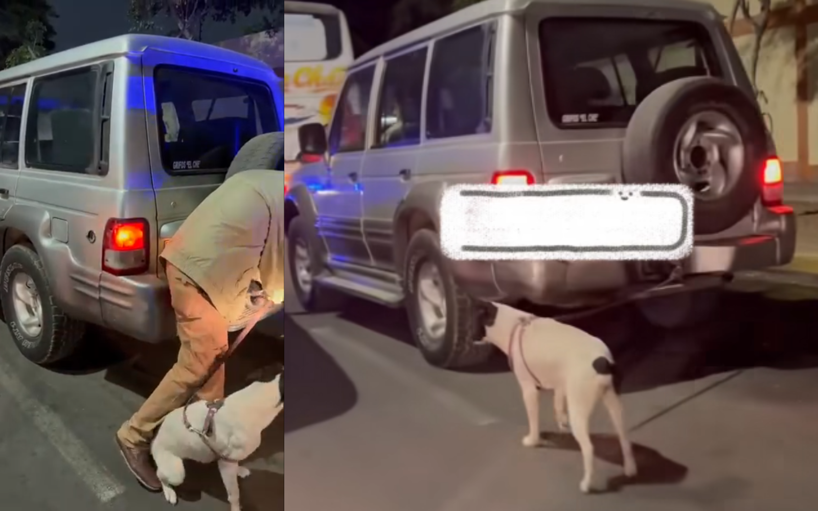 Unconscious! A man takes his puppy tied in his truck in Trujillo