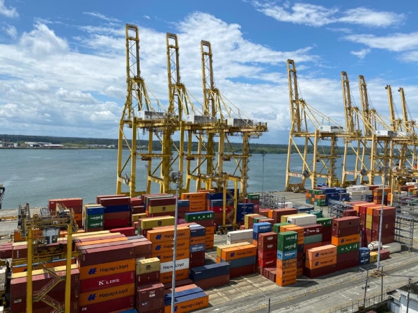 "We get it cheap", but not free: guilds react to the 10 % tariff in the US.