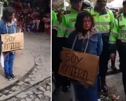Woman is retained after being surprised stealing stuffed animals in the Model de Huancayo market