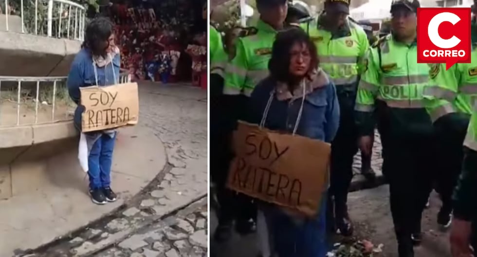 Woman is retained after being surprised stealing stuffed animals in the Model de Huancayo market