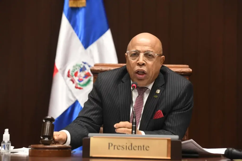 Would the Criminal Code pass the sedazo of the Constitutional Court? Alfredo Pacheco responds