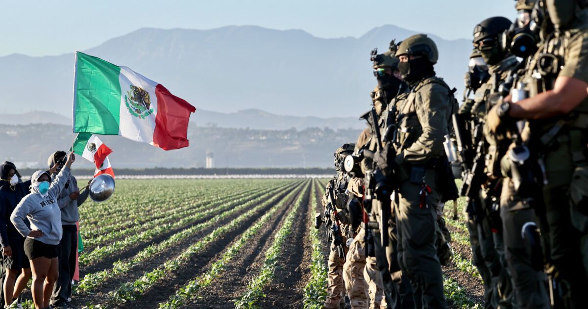 "People go to the minimum"; Lias paralyzed Mexican migrants in the US