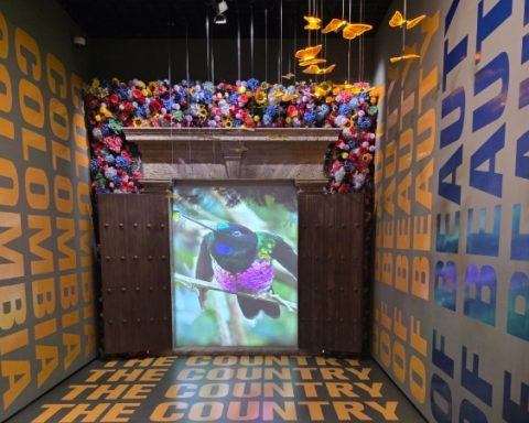 10 million tons of milky? The "millionaire" figure of President Petro unleashes controversy in Japan