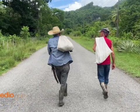 The niche remains a natural paradise despite abandonment