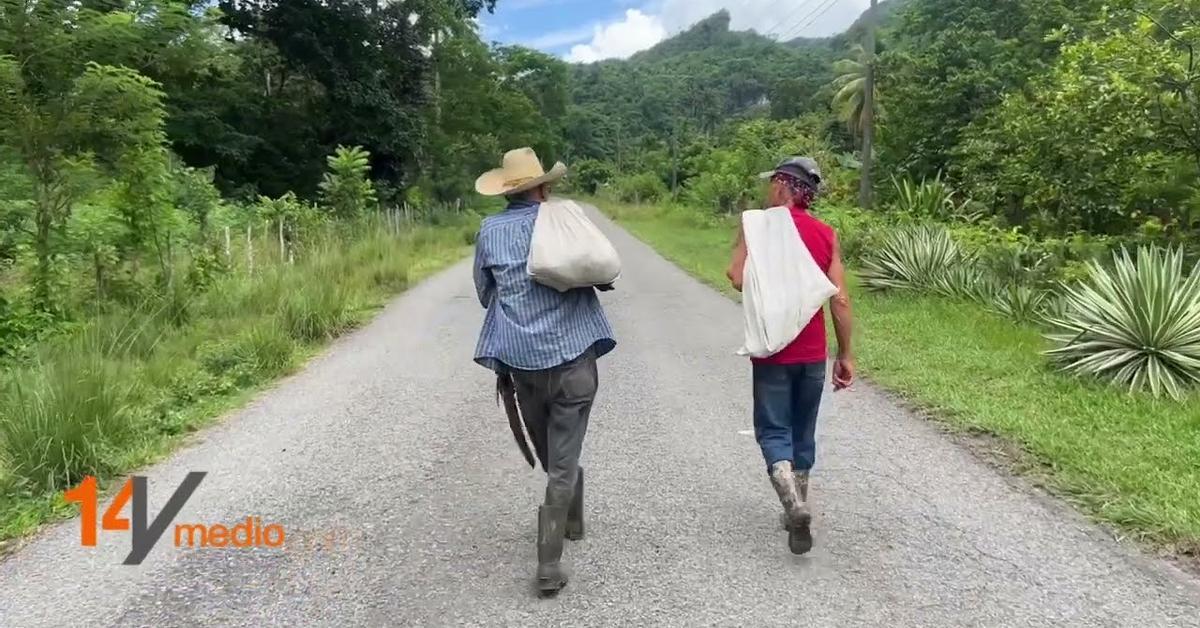 The niche remains a natural paradise despite abandonment