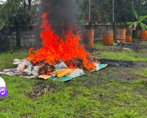 56 tons of drugs have been seized