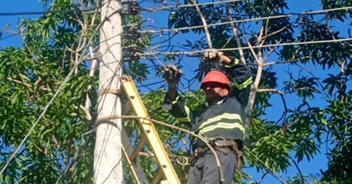 A liner dies when making contact with a high voltage cable in Artemisa