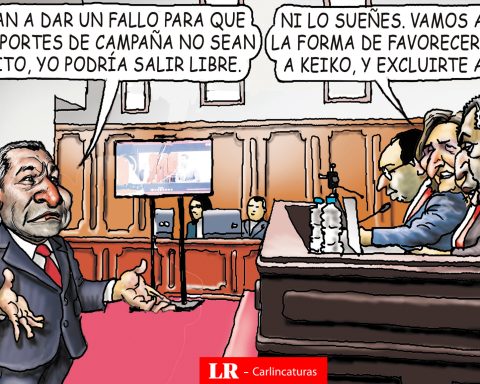 A selective ruling: Carlincura warns the impact of the decision of an institution on judicial processes