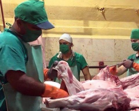 A state company of Las Tunas lost 250 kilos of meat during a 26 -hour blackout