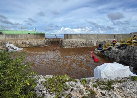 AES Andrés leaves the electrical system through the sargasso