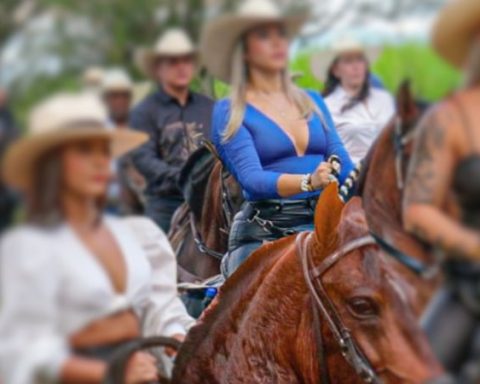 After the veto to bullfights and roosters, horses are still alive in Colombia