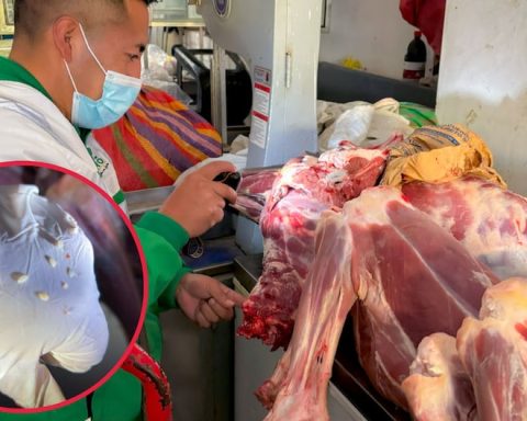 Alpaca meat with parasites in Huancayo market finds