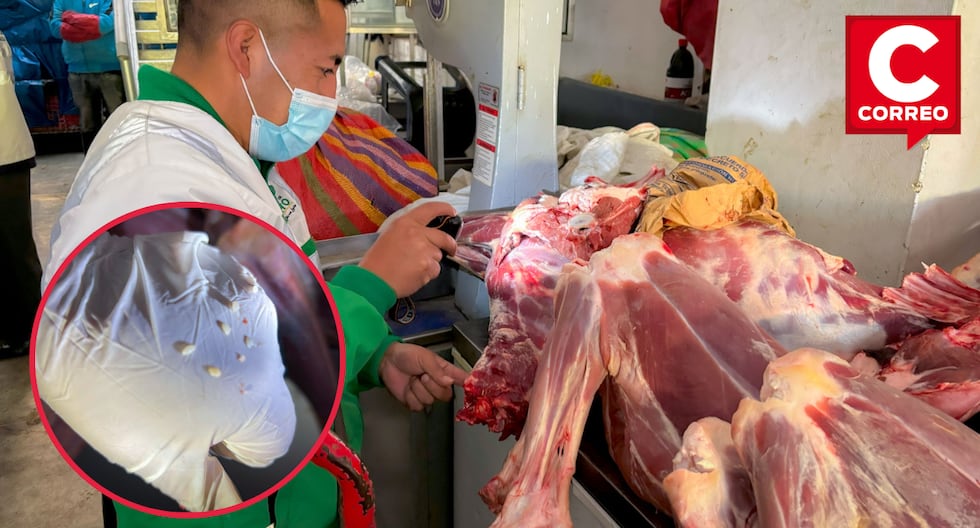 Alpaca meat with parasites in Huancayo market finds