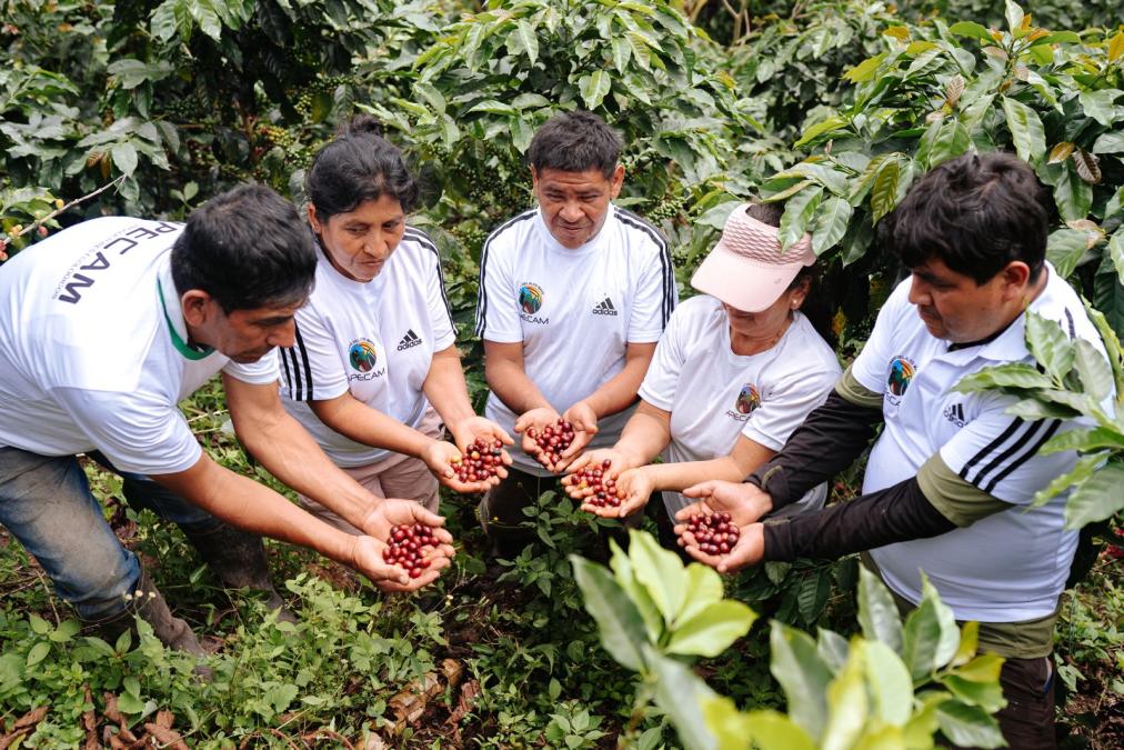 Amazon Expo 2025, in San Martín, will attract international buyers