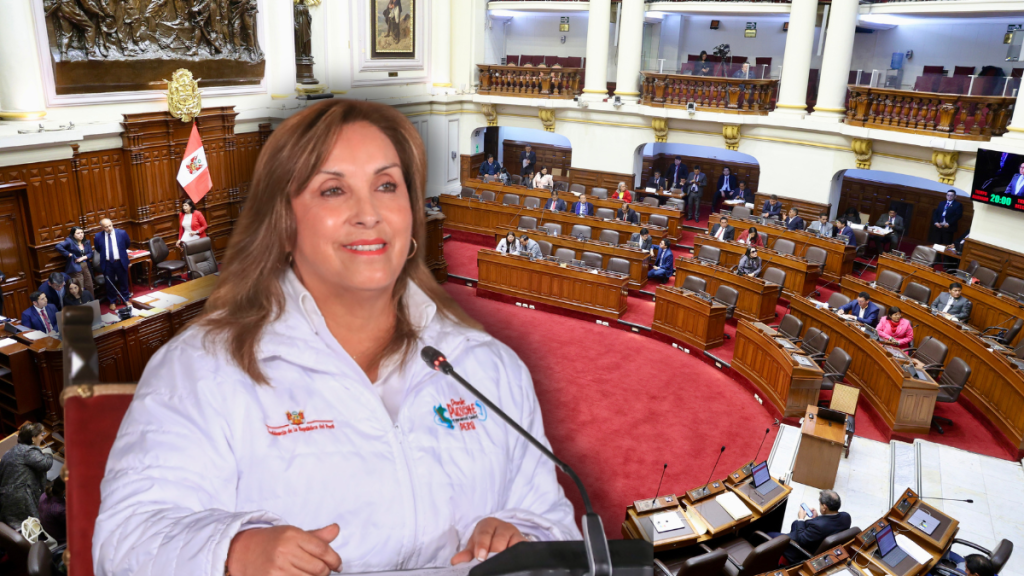 Archive Congress Constitutional complaint against Dina Boluarte for deaths in protests