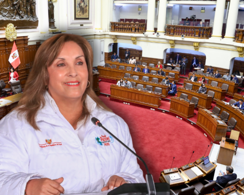 Archive Congress Constitutional complaint against Dina Boluarte for deaths in protests