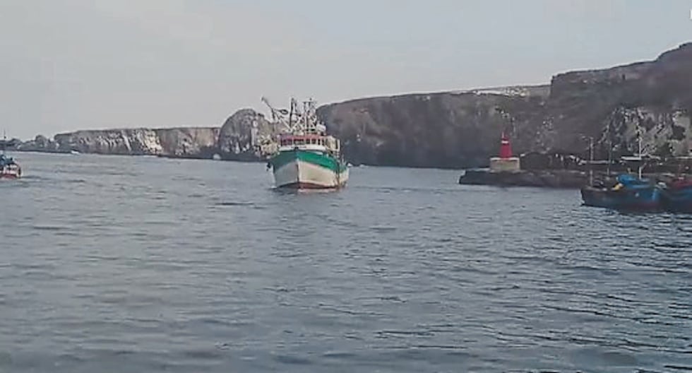 Arequipa fishermen face hedgehog