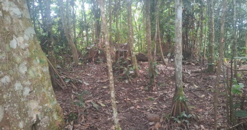 Army discovers abandoned camp of the Gulf Clan in Bolívar