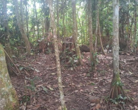 Army discovers abandoned camp of the Gulf Clan in Bolívar