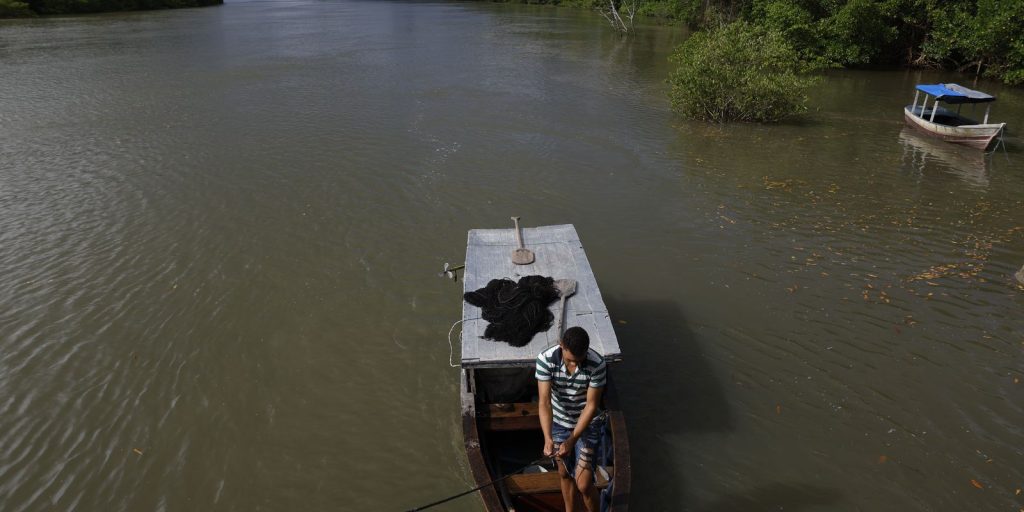 Artisanal fisherman's insurance will have new rules in October