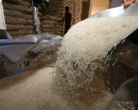 Audita Government Purchase of rice in poor condition and presents a complaint before the Public Ministry