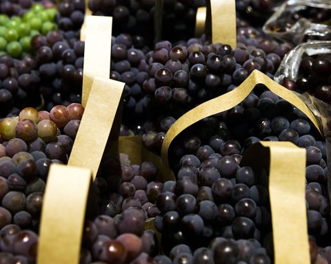 BNDES approves R $ 1.2 billion for companies affected by the tariff