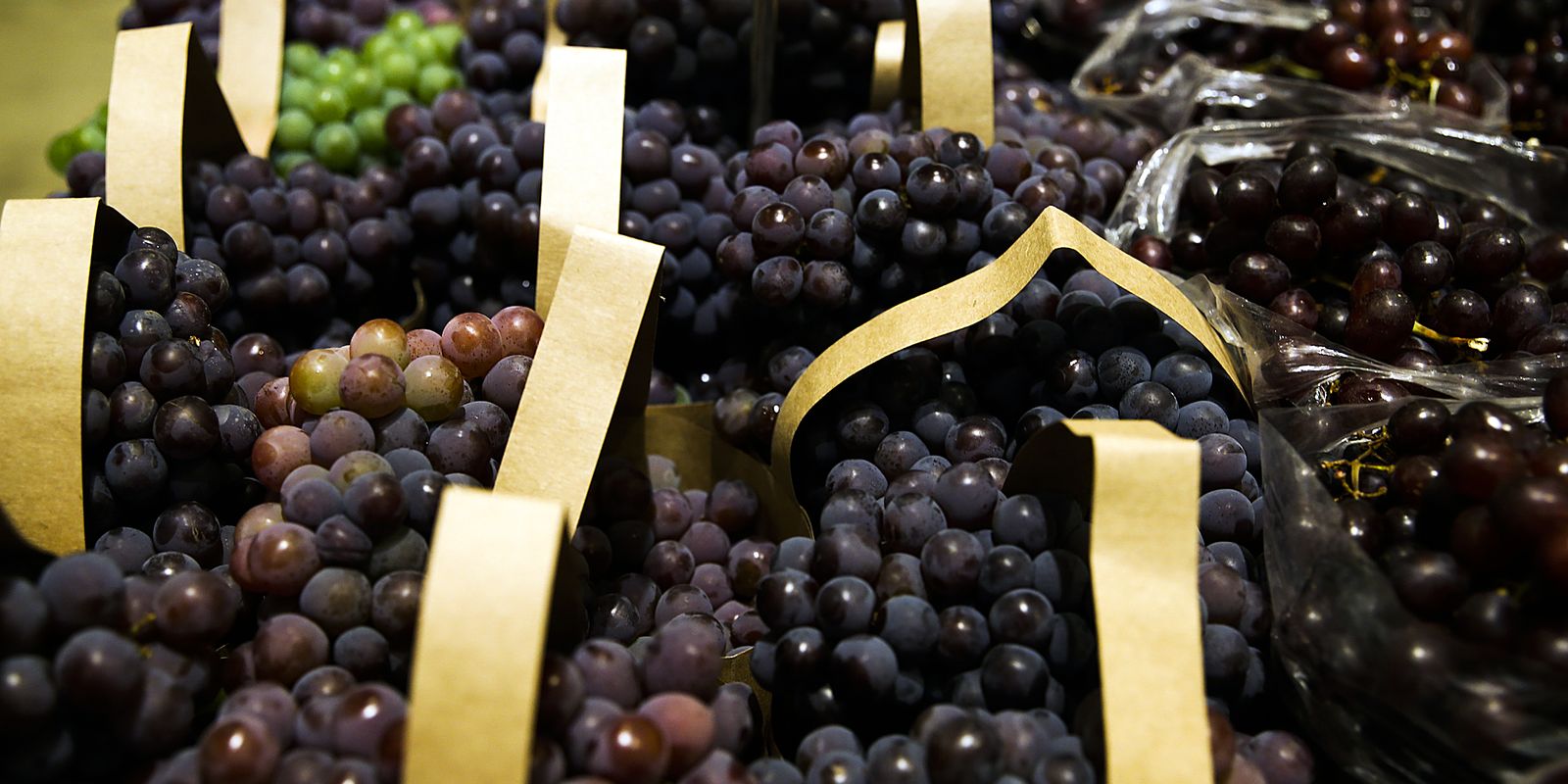 BNDES approves R $ 1.2 billion for companies affected by the tariff