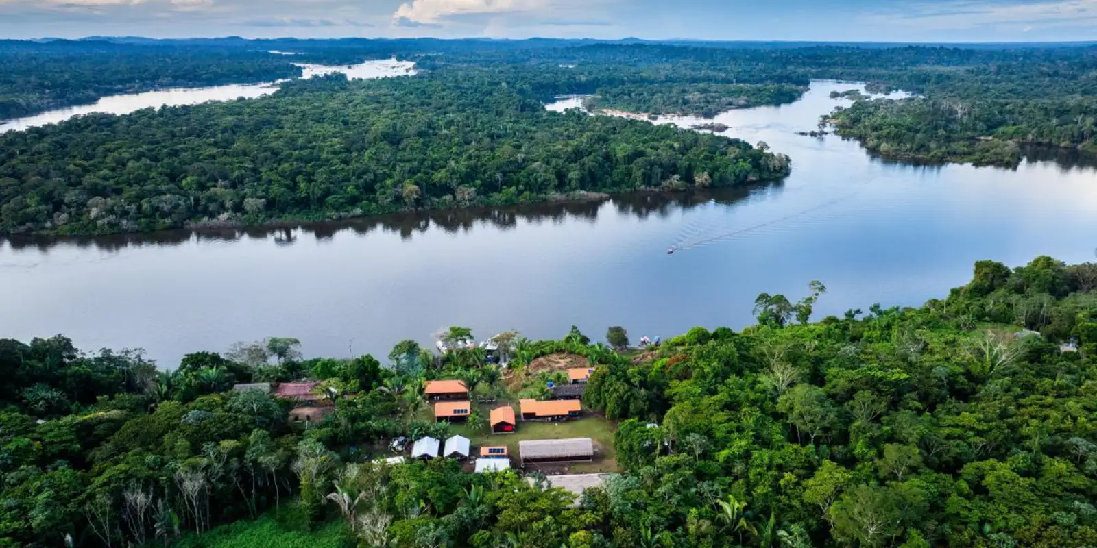 BNDES launches a public notice for the recovery of the Amazon Forest