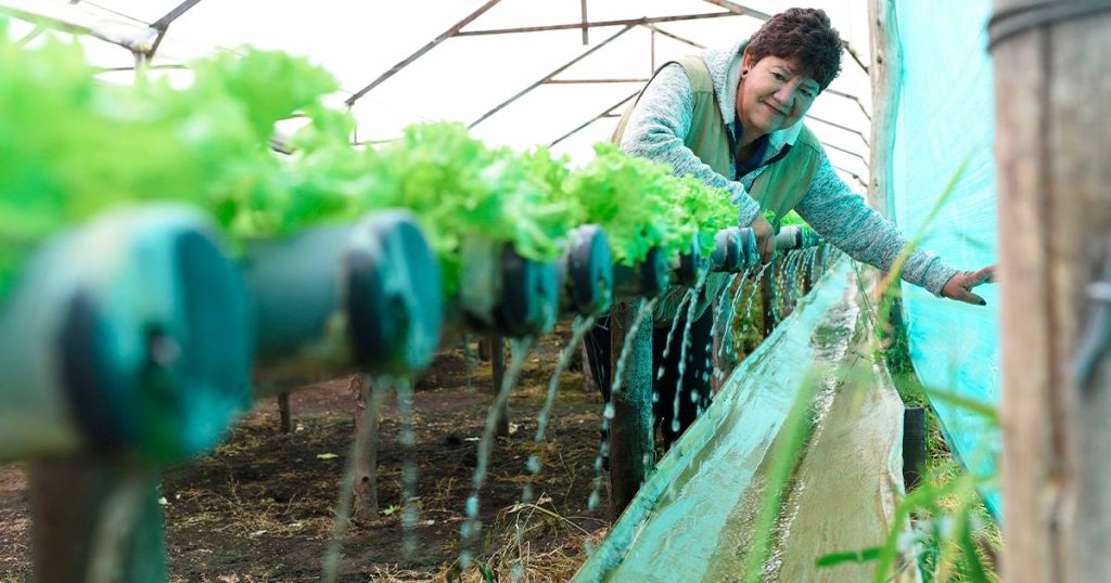 Banamía has disbursed green microcredits for more than $ 23,800 million to strengthen resilience