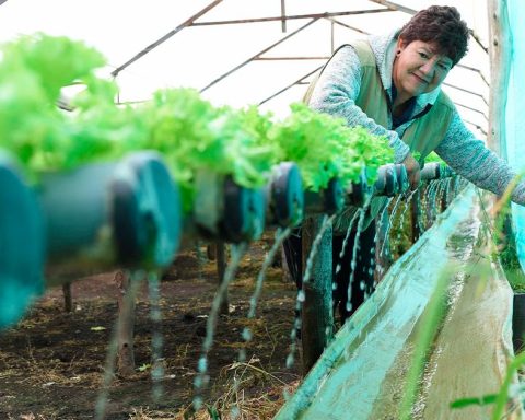 Banamía has disbursed green microcredits for more than $ 23,800 million to strengthen resilience