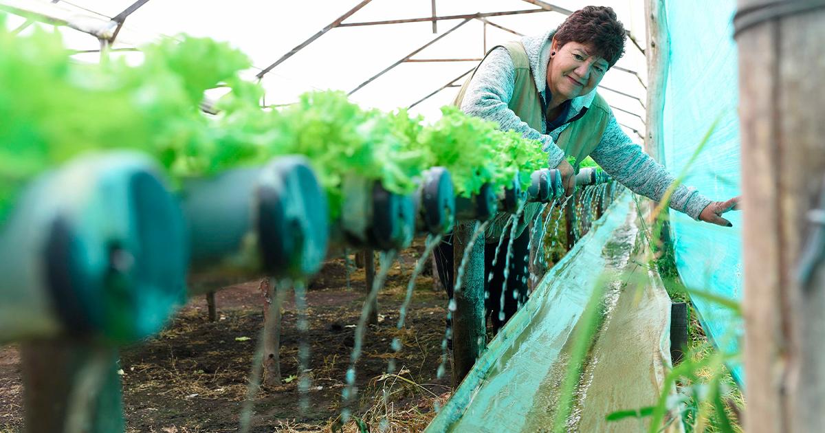 Banamía has disbursed green microcredits for more than $ 23,800 million to strengthen resilience