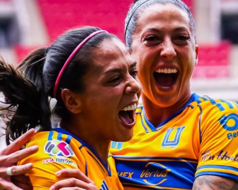 Beautiful Jenni and Tigers intimidate the leader