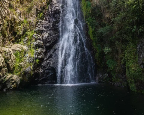 Blancas Aguas will be part of the international tourism promotion