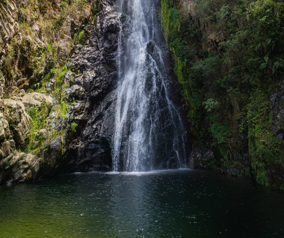 Blancas Aguas will be part of the international tourism promotion