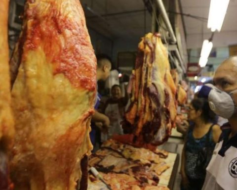 Bolivia enables export of bovine meat and avian to the Egypt market