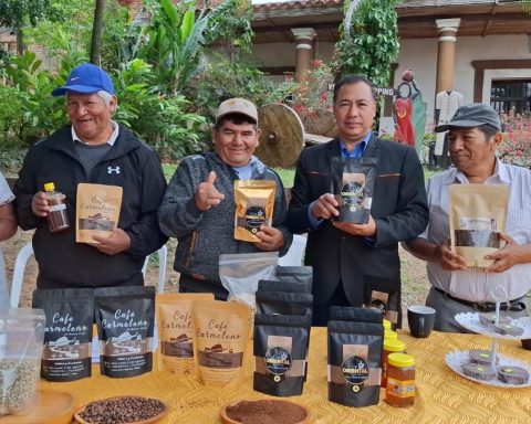 Buena Vista celebrates the XIX Coffee Festival with producers from all over the cross -country region