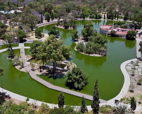 CDMX and Civil Society Government go for climate agenda to 2030