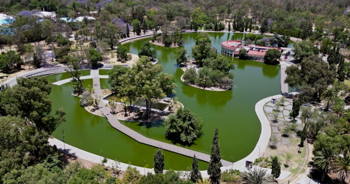 CDMX and Civil Society Government go for climate agenda to 2030