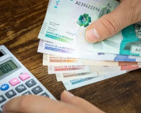 Caribbean and Pacific Region, with higher arrest indexes: this is the reason