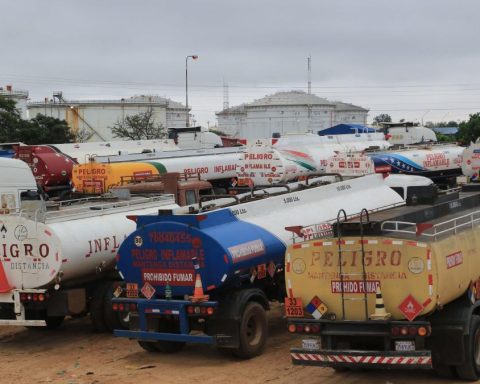 Chaufferes denounce 12 deaths of salaried carriers in the midst of diesel crisis