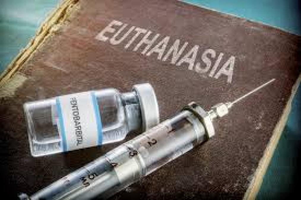 Chile Congress begins the debate to approve an euthanasia law
