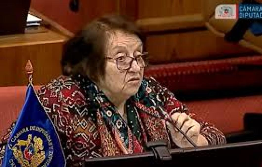 Chilean deputy active controversy: "Bolivians were born in the highlands, therefore, they have a decrease in cerebral oxygen"