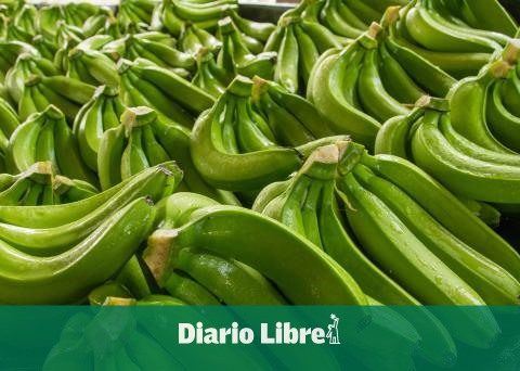 China, Russia and India: promising markets for bananas and tobacco