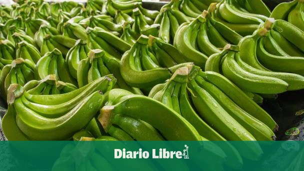 China, Russia and India: promising markets for bananas and tobacco