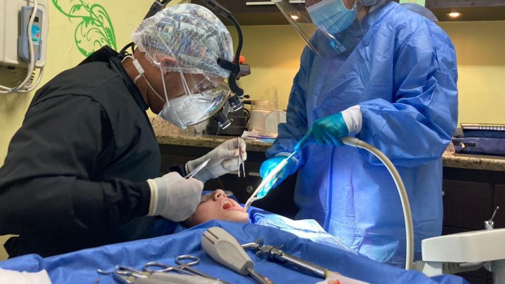 Colegio de Dentologists Web Active to verify cards in the face of increasing false specialists