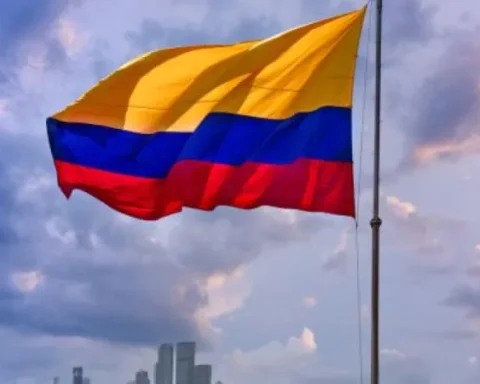 Colombia and its people where even the little ones carry 'gardens' on the back