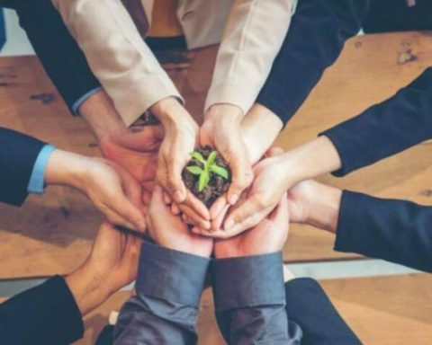 Conscious capitalism: why sustainable companies are more profitable