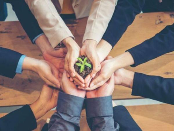 Conscious capitalism: why sustainable companies are more profitable